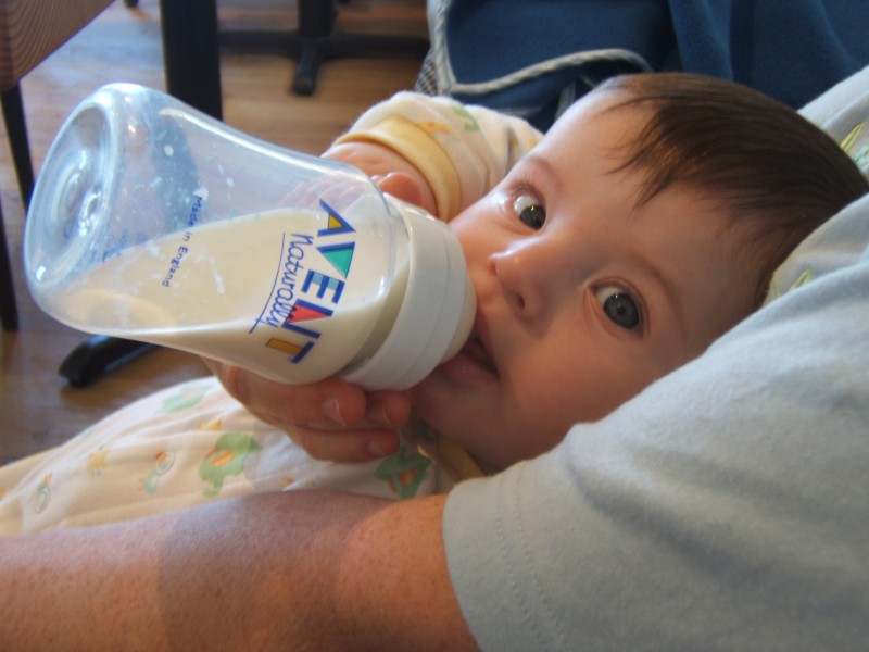 Palo Alto-Gal 6.2005 331.jpg